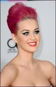 Existe-t-il un kit d'extension sur Katy Perry pour le jeu "Les Sims 3" ?