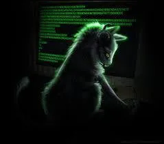 Dans le jargon informatique, comment appelle-t-on un pirate ?