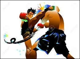 Comment appelle t-on la boxe pratiquée en Thaïlande ?