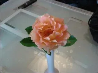 Cette fleur est une :