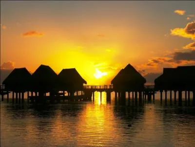 ''Quand le soleil se pointe à l'horizon
Tu promènes endormie tes lèvres douces sur mes reins
Je sens tes seins dressés comme des barricades
Et sur ma peau tes dents qui brodent des croissants
Bleutés comme tes cernes''

Qui a écrit ces paroles pleines de poésie ?