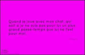 Qui a dit : "Quand je joue avec mon chat, qui sait si je ne suis pas pour lui un plus grand passe-temps que lui ne l'est pour moi" ?