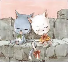 Quelle est la magie des Exeed ?