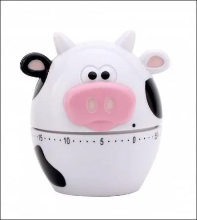 Comment se nomme cet instrument de cuisine ?