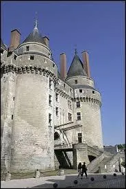 Châteaux de la Loire - Voici le château d'(e)
