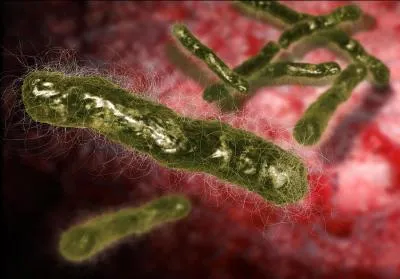 Pourquoi la ville Sverdlovsk de Russie fut-elle interdite aux étrangers de 1960 à 1990 ? Et pourquoi changea-t-elle de nom, devenant Ekaterinburg ?