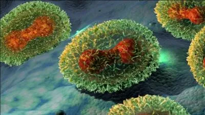 Comment, en Amérique en 1763, l'armée britannique affaiblissait-elle les Amérindiens ?