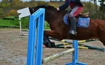 Quiz Galop 4