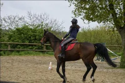 Le pli et l'incurvation. 
Laquelle de ces réponses est fausse ?