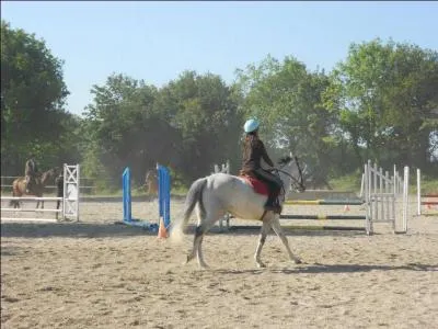 Posture du cavalier à l'obstacle - L'ordre des phases.