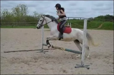 Les genres d'obstacles.
Comment se nomme un obstacle fait d'une ou plusieurs barres montées les unes au-dessus des autres sur deux chandeliers ?