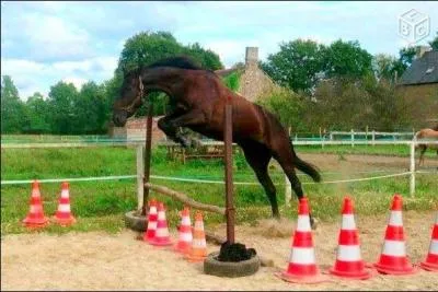 Les genres d'obstacles.
Qu'est-ce qu'un contre-bas ?