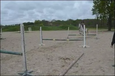 Les genres d'obstacles.
Comment se nomme un obstacle fait d'une haie surmontée d'une ou de plusieurs barres montées les unes au-dessus des autres ?