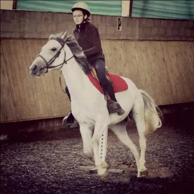 L'accord des aides.
Quelle est la réponse fausse ?