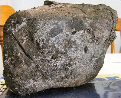 Qu'est-ce que l'ambre gris ?