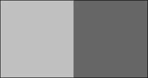 Quel est l'auteur, compositeur, interprète de l'album : 'Entre gris clair et gris foncé' ?