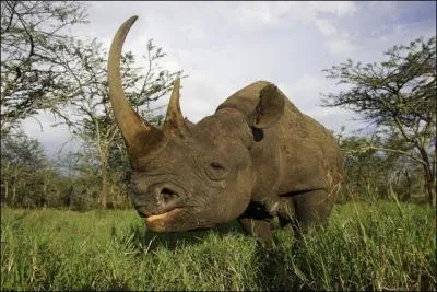 Vous avez trouvé le précédent, vous n'aurez donc pas de problème pour celui-ci !