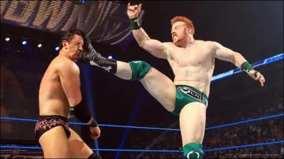 Comment s'appelle cette prise de finisher ?