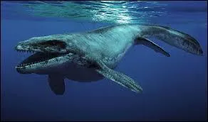 Quel est ce dinosaure ?