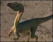 Quel est ce dinosaure ?