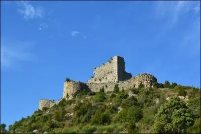 Quel chevalier fut tout d'abord protecteur des cathares avant de se ranger aux côtés des troupes royales et obtint même la reddition de Quéribus ?