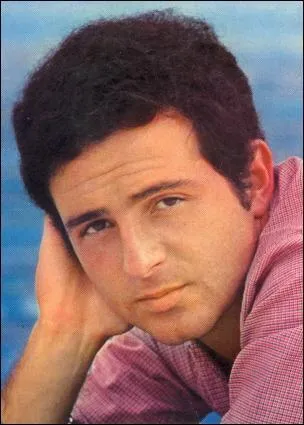 "Ne reviens plus jamais / Bye bye". Cette chanson s'intitule...