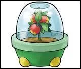 Qu'est-ce que soigne la baie Ceriz ?