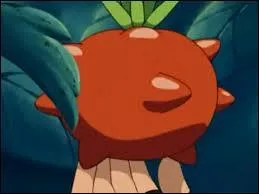 La baie Tamato est très... (Dans l'animé)