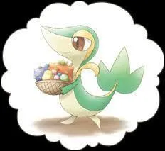 De quelle couleur est la baie marron et qu'est-ce qu'elle soigne ?