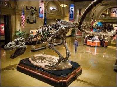 Comment Larry Daley surnomme-t-il le tyrannosaure du musée dans le film "La Nuit au musée" ?