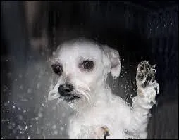 Quel mauvais temps !