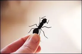 Vous cherchez la moindre faute !