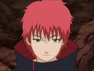 Que déteste Sasori ?