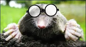 Vous n'y voyez rien !