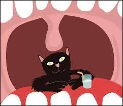 Vous avez du mal à parler, vous avez l'impression d'avoir :