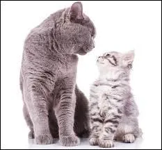 Vous appelez une chose par son nom !