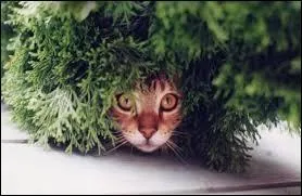 Vous avez autre chose à faire !