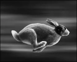 Vous courez très rapidement !