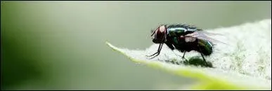 Je me demande ce qu'il vous est arrivé.