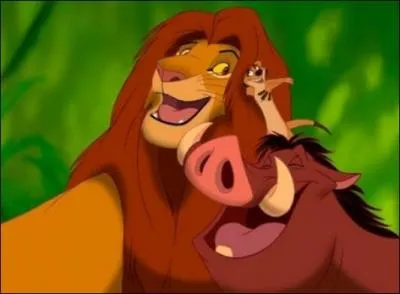 Quel est ce dessin anim&eacute; ?