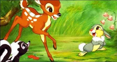 Quel est ce dessin anim&eacute; ?