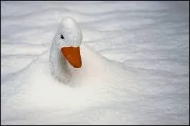 Il fait très froid !