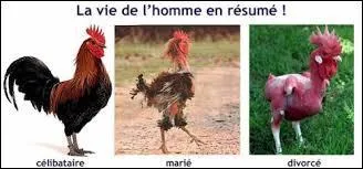 Vous êtes tombé(e) dans un beau piège !