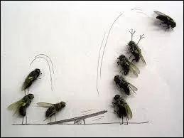 Vous êtes très susceptible !