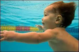 Vous nagez très bien !