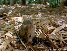 Vous êtes pris sur le fait !