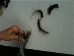 Vous êtes précis(e), un peu trop même !