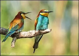 Vous faites semblant de ne pas m'entendre !