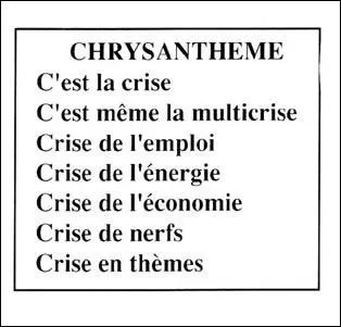 Si je vous dis 'chrysanthème'