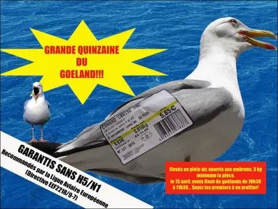 Quand le goéland s' gratte le gland, c'est qu'il va faire mauvais temps. Quand il s' gratte le cul, ...